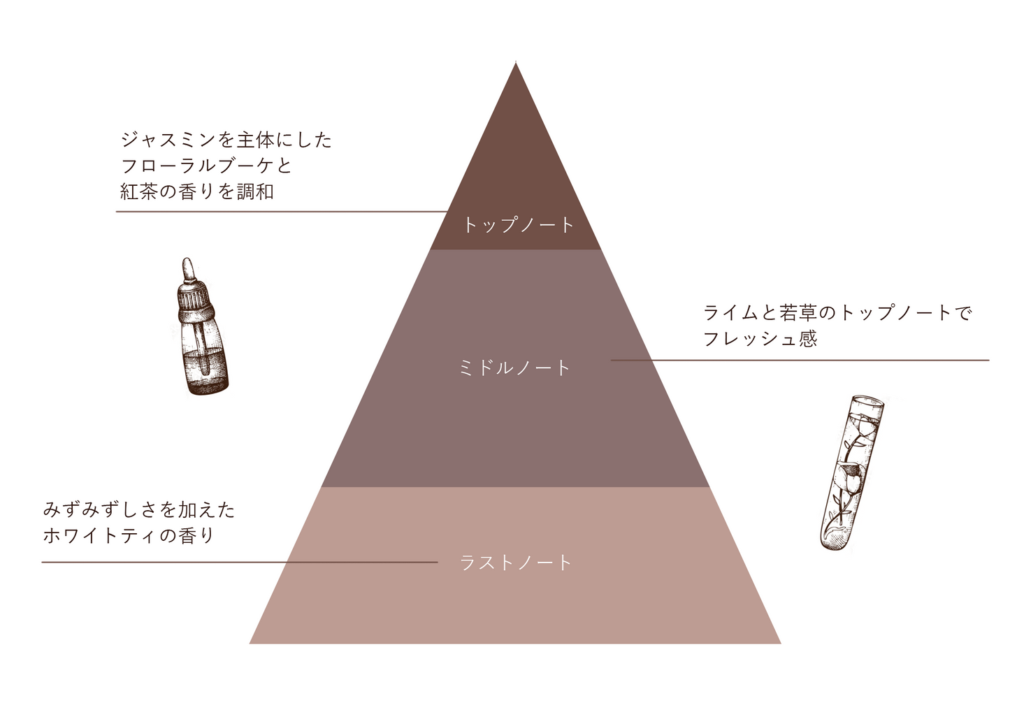 JEDO EAU DE PARFUM
